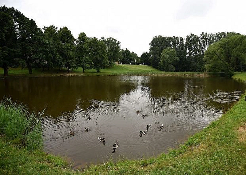 Pustkovecký rybník. Foto: archiv MMO